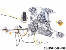 Fender Brad Paisley Road Worn