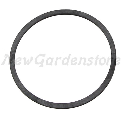 Guarnizione carburatore