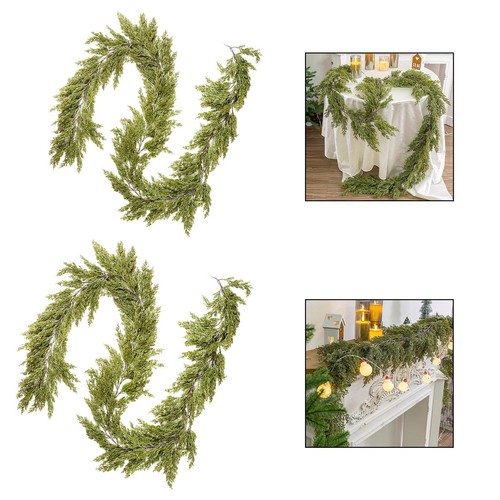 Pianta foglie cedro - foglie, di