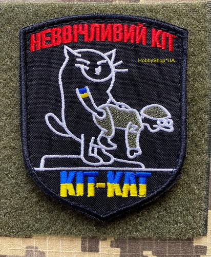 Gatto maleducato ucraina - gatto,