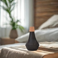 Sordina per pratica della