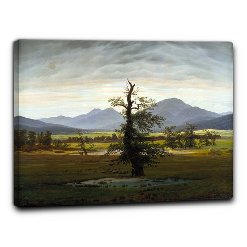 Niik quadro albero - niik, solitario