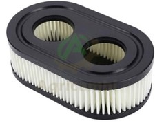 Filtro aria Briggs & Stratton