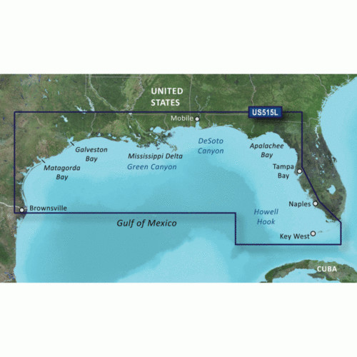 Garmin vision brownsville - vision-,