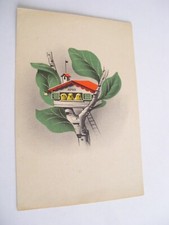 Cuneo - Asilo nido Leutrum - non spedita f. g. 