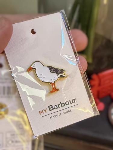 Spilla distintivo spilla