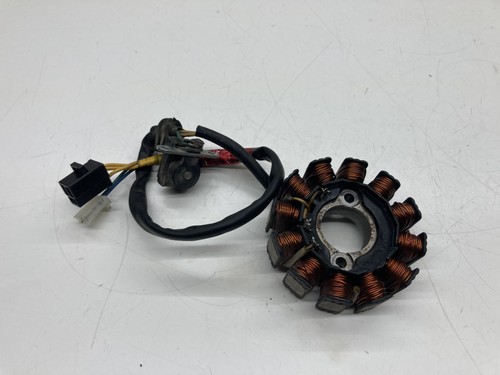 Statore alternatore magnete - statore,