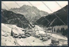 Belluno caprile panorama foto - belluno,