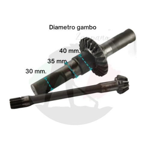 Goldoni coppia conica pignone - goldoni,