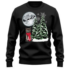 British Shorthair Kitten Gift