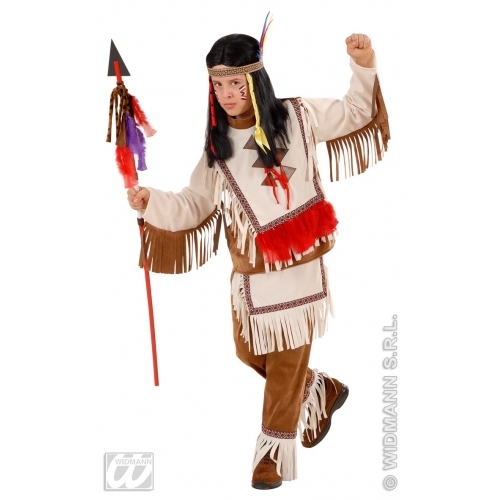 Carnevale costume vestito - carnevale,