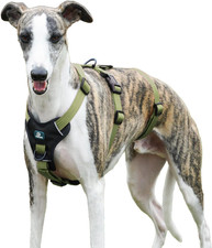 Pettorina Antifuga Cane