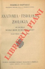 RAFFAELE Federico -  Anatomia