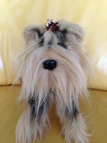 Borsa yorkshire terrier - borsa,