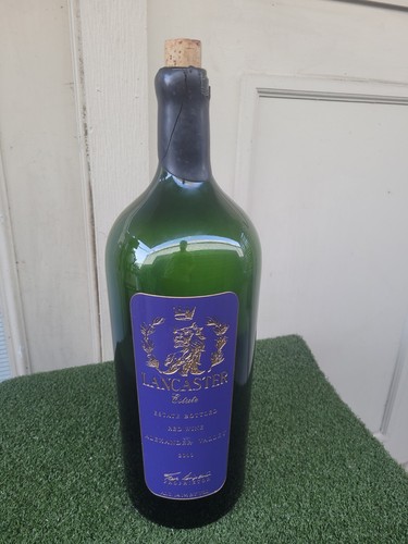 Manichino bottiglia vino