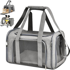 Trasportino Gatto, Trasportino