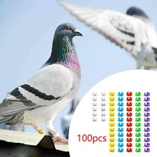 100 Pezzi di Fasce per Zampe