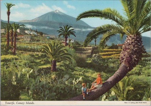 Teneriffa isole canarie - teneriffa,
