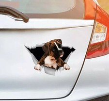 adesivo cane BOXER per vetri