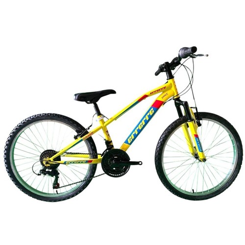 Bici uomo mtb - mtb, 24"