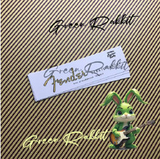 Fender decalcomania adesivo per paletta manico chitarra stratocaster fai da te.