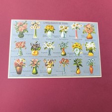 LINGUAGGIO DEI FIORI VECCHIA