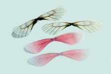 INWARIA Organza Ali di Angelo per Artigianato 18x85 mm Tessuto Decorazione, S183