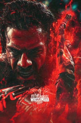Poster wwe gigante - poster, 24”x36”