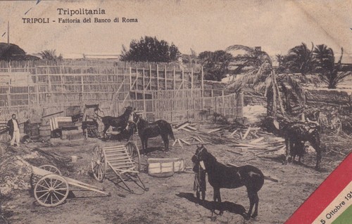 Cartolina militare libia - militare,