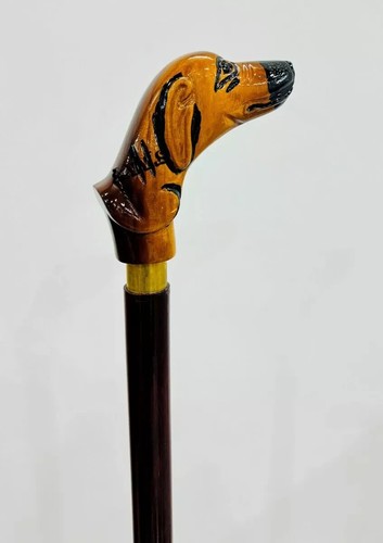 Antica testa cane - antica,