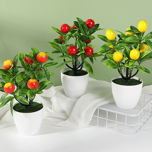 Tavolino caffè bonsai di - bonsai,