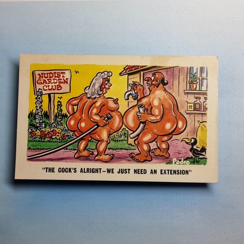 Comic postcard c1970 nudist - comic,