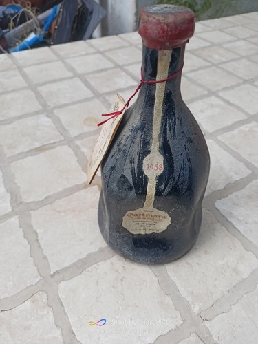 Gattinara spanna rosso 1958 - gattinara,