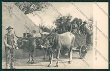 Siena City Costumes Ox Car