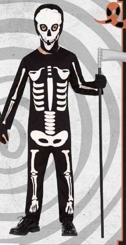 Costume vestito carnevale - vestito,