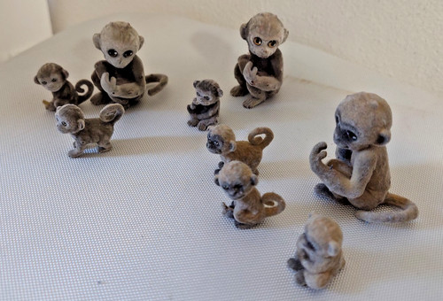 Cuccioli cerca amici giungla - cerca,