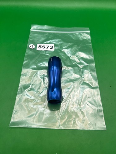 Corpo regolatore nervo blu - nervo,
