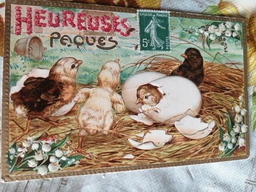 Felice pasqua pulcini - pasqua,