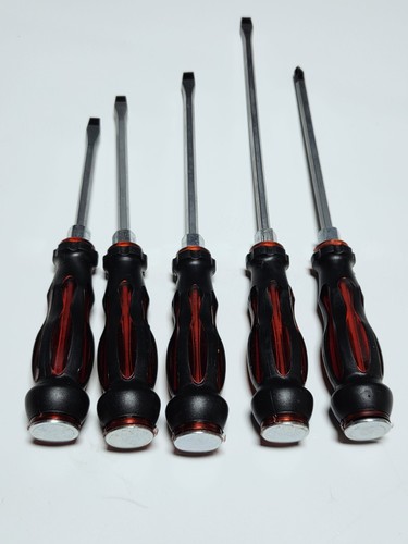 Set cacciaviti magnetici con