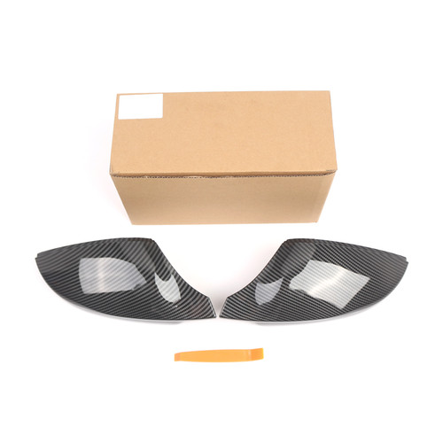 Coppia calotte specchietti