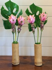 Tulipano Siam In Bambù