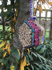 insetto, insetto, hotel delle