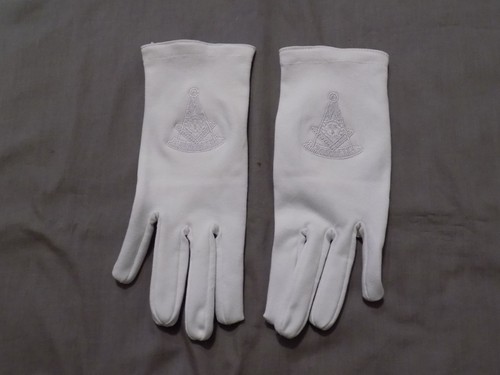 Guanti past master cotone - master, in