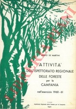 DE MARTINI Mario - Attività