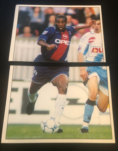 Images panini jay - panini,