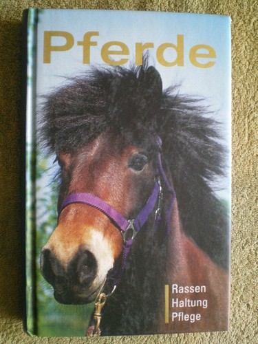 Pferde rassen haltung pflege - pferde,