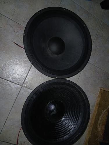 Coppia woofer 38cm 4ohm - coppia,