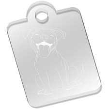 'Happy Pit Bull Terrier'
