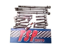 VITERIA CARTER CRANKCASE SCREWS HARLEY DAVIDSON STREET GLIDE 1580 IE 05-07