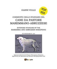 Commento dello Standard del